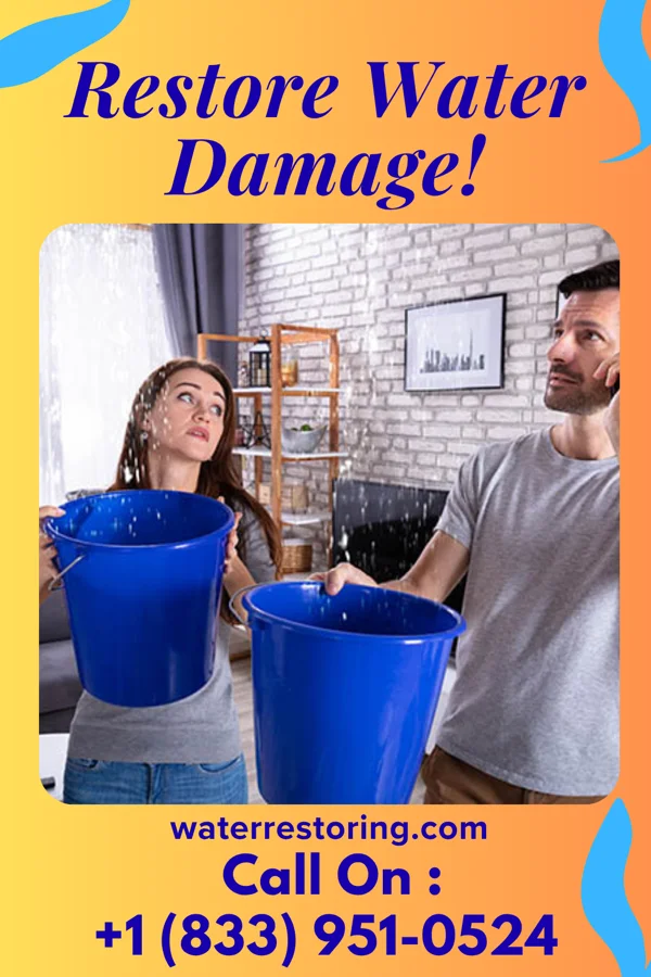 water restoration Stellar Extraction Masters Anawalt