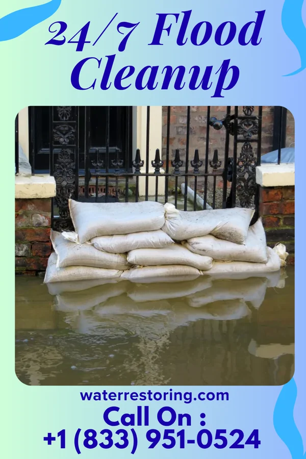 24/7 Flood Cleanup in Anawalt, WV