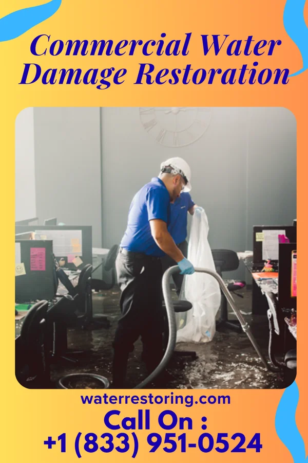 Commercial Water Damage Restoration in Anawalt, WV