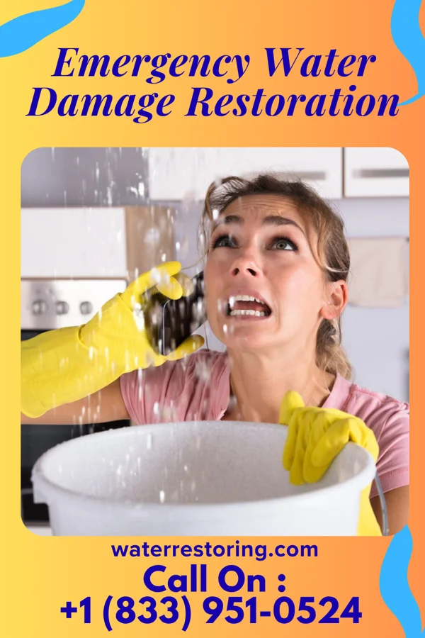 Emergency Water Damage Restoration in Anawalt, WV