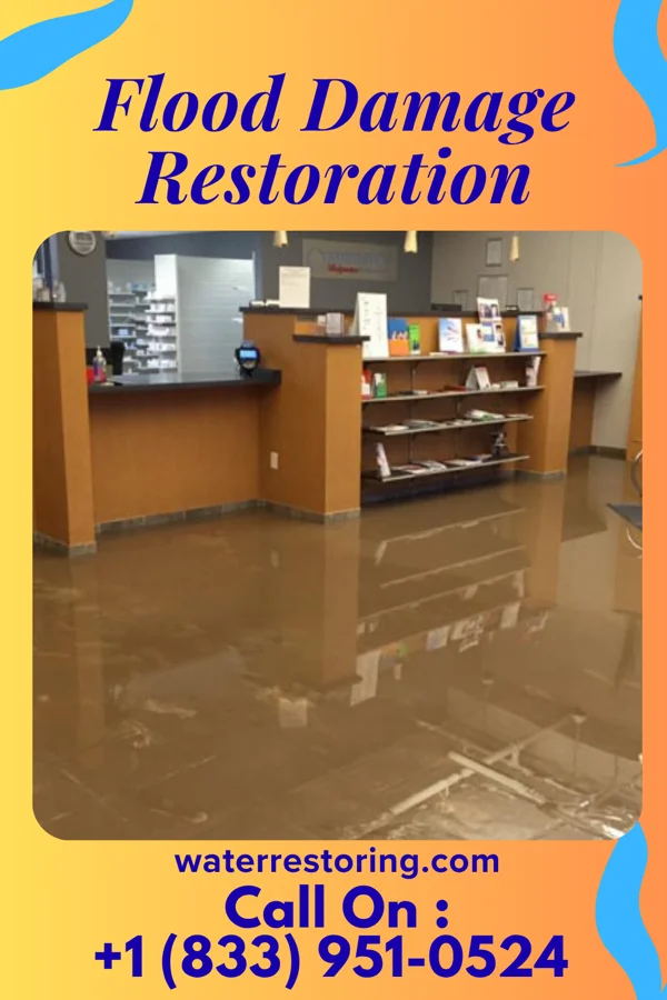 Flood Damage Restoration in Anawalt, WV