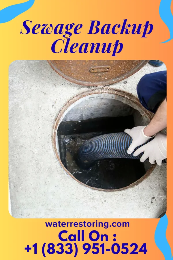 Sewage Backup Cleanup in Anawalt, WV