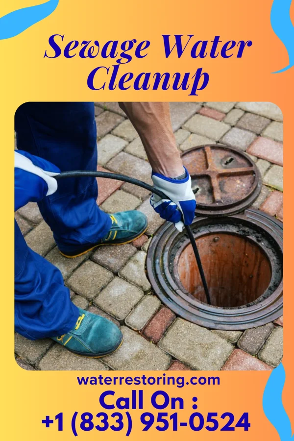 Sewage Water Cleanup in Anawalt, WV