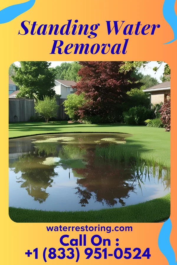 Standing Water Removal in Anawalt, WV